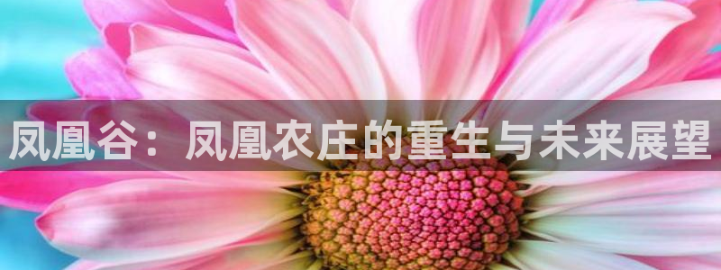 天辰娱乐地址