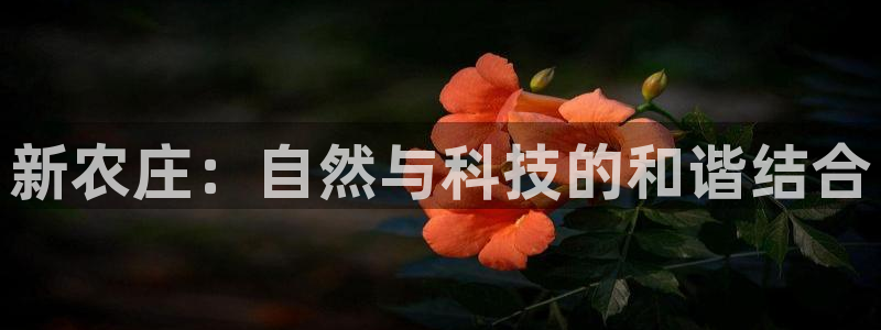 天辰娱乐好吗