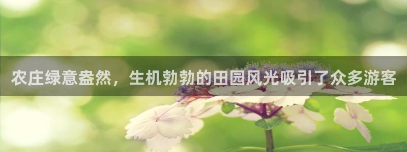 辰天娱乐用品