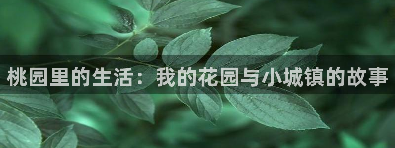 天辰国际娱乐