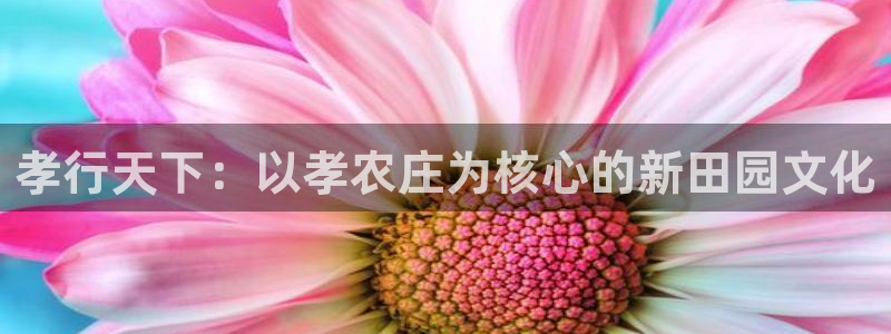 天辰娱乐文案