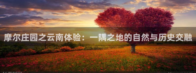 天辰娱乐10086