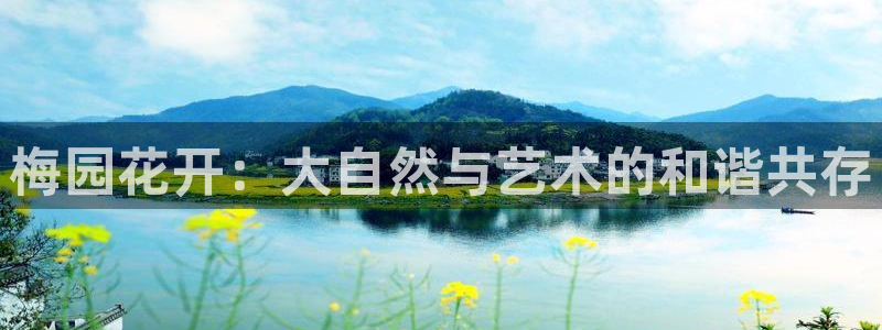 深圳天辰娱乐