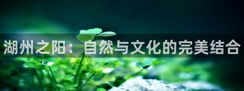 天辰臣娱乐