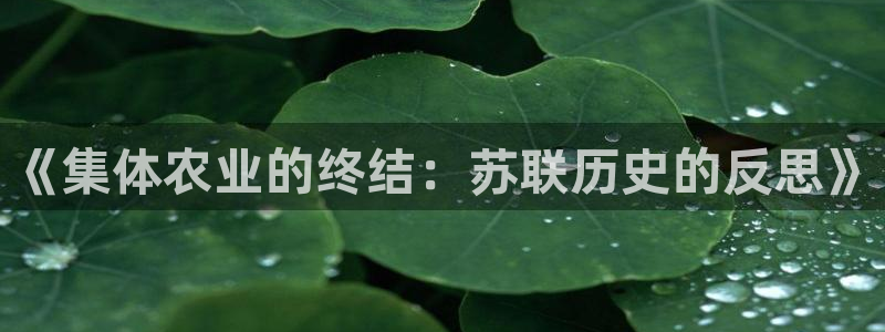 天辰娱乐老板