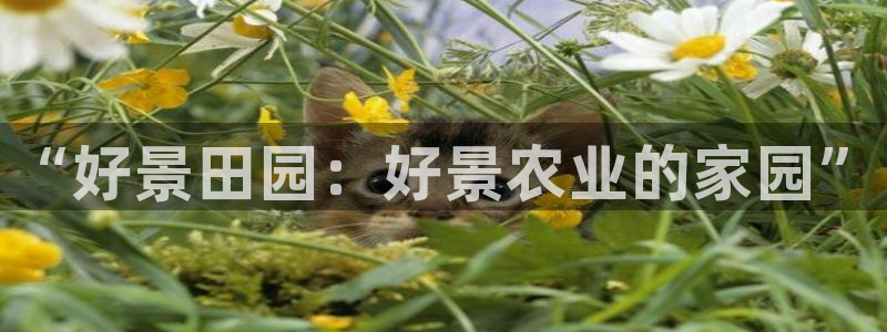天辰娱乐连接
