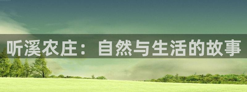 天辰娱乐股票