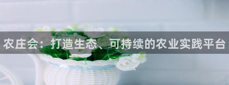 天辰娱乐tff