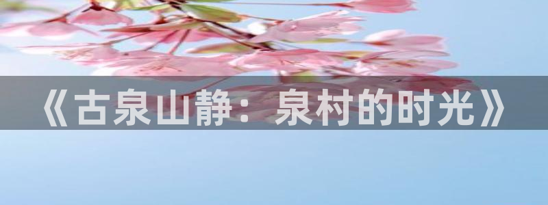 天辰娱乐服务