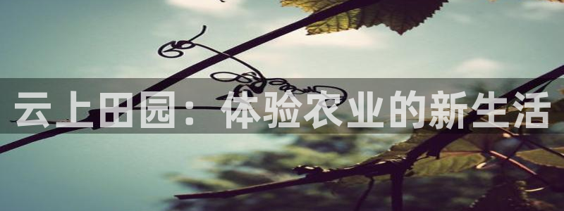 天辰娱乐APP下载
