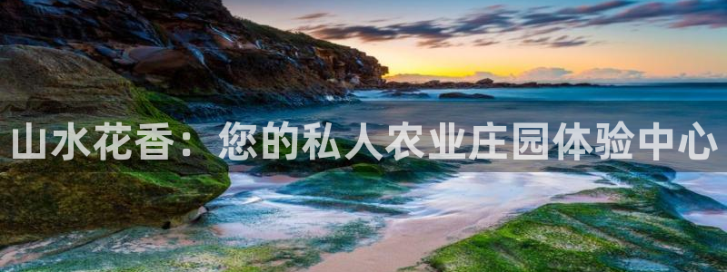 天辰娱乐解封
