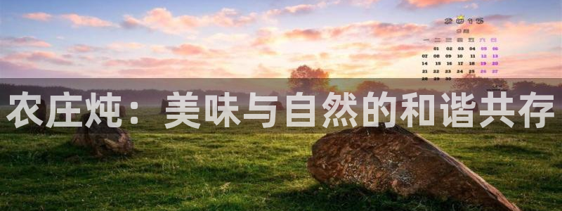 天辰娱乐游戏