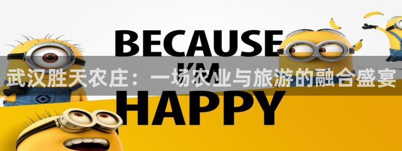 天辰娱乐文案