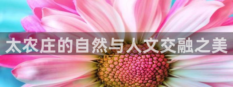 天辰娱乐测速