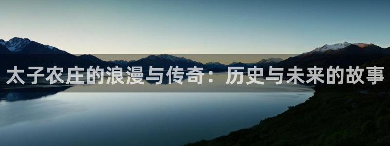 天辰娱乐会员