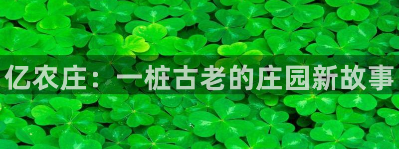 天辰娱乐44516