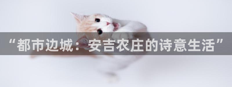 天辰娱乐招商