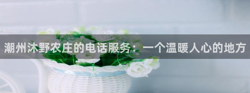 天辰娱乐老板