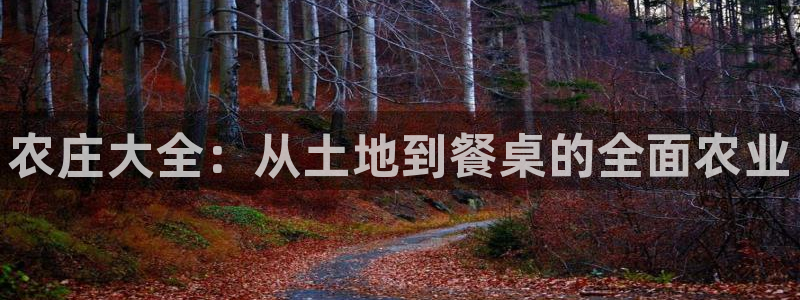 天辰娱乐内部