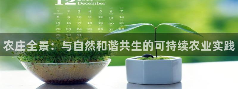 天辰娱乐84566