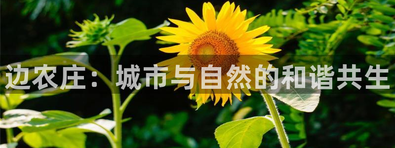 天辰娱乐平台注册