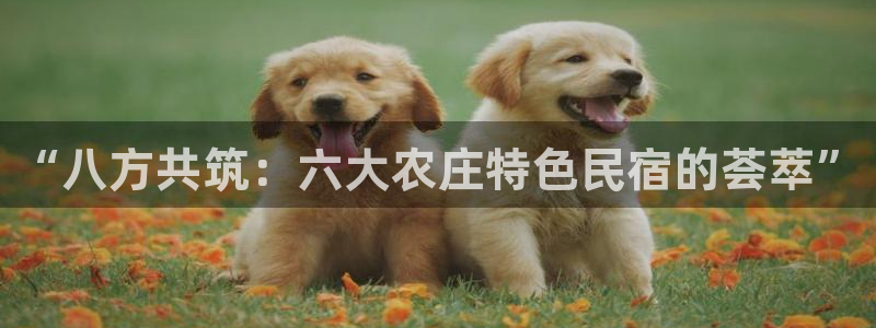 集宁天辰娱乐