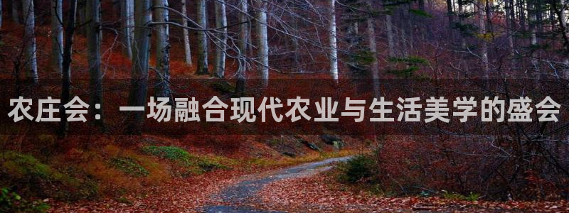 辰天娱乐