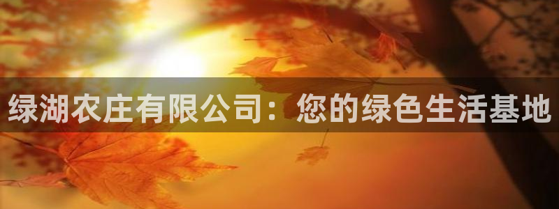天辰娱乐在哪