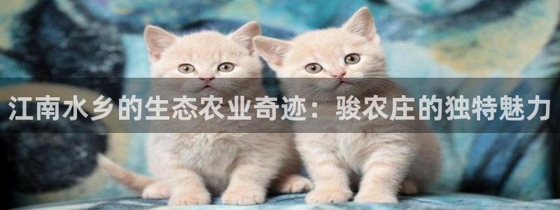 天辰娱乐内部