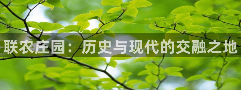 天辰娱乐内部