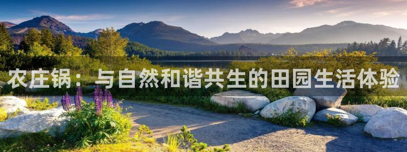 天辰说娱乐