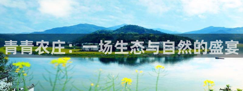 天辰娱乐游客