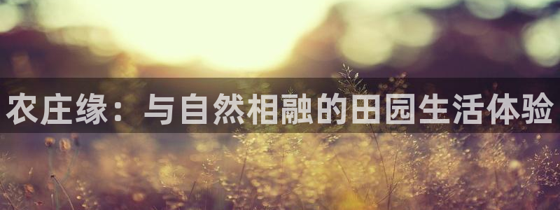 天辰娱乐728567