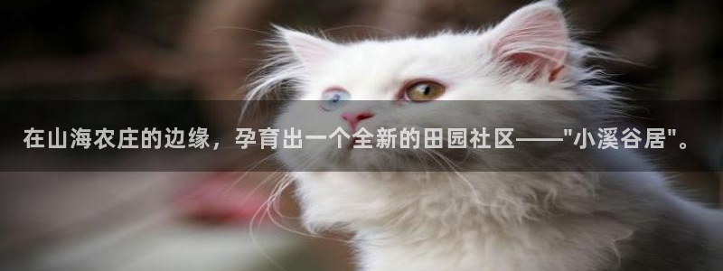 天辰水娱乐