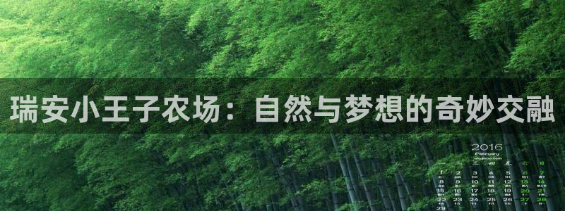 菲律宾天辰娱乐