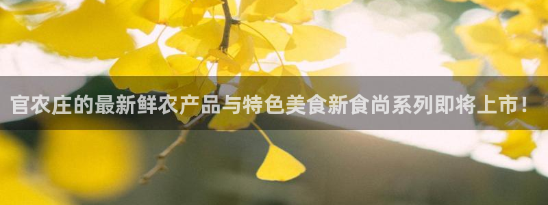 哈尔滨天辰娱乐