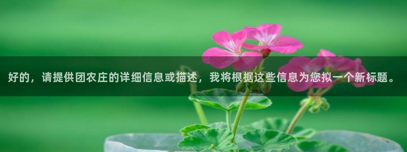 天辰娱乐平台地址