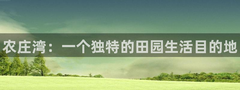 天辰娱乐小姐