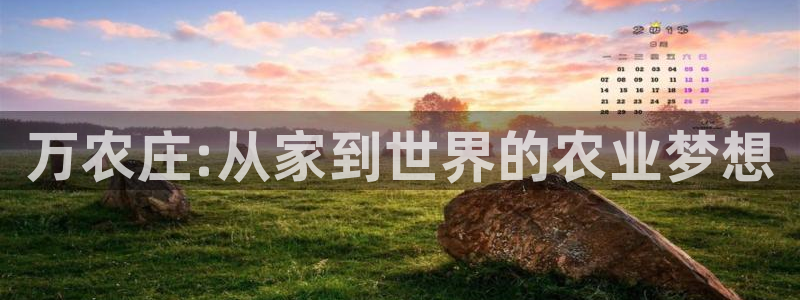 手机上怎么下载天辰娱乐