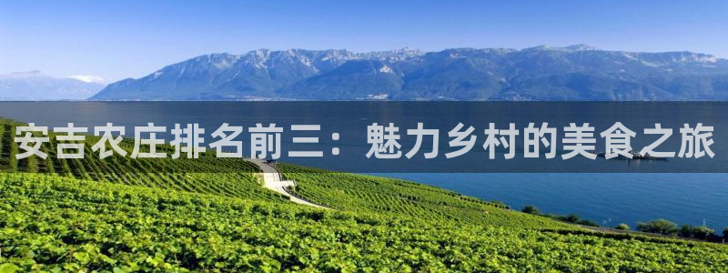 天辰娱乐登录网址