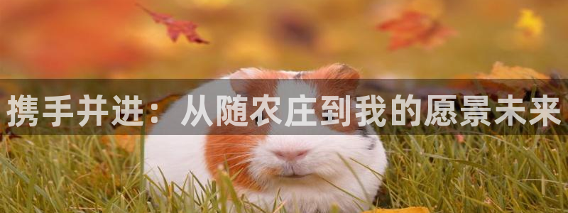 天辰娱乐总管年薪