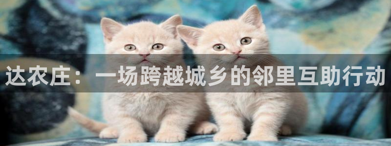 天辰娱乐7天22650