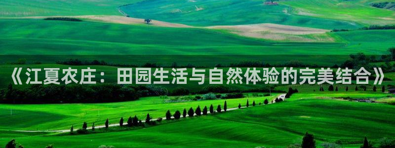 菲律宾天辰娱乐