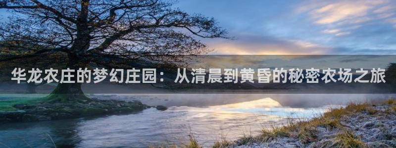 天富娱乐与天辰娱乐