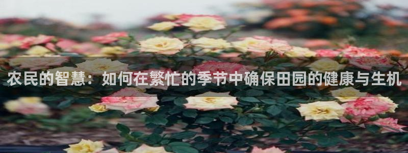 天辰娱乐维护