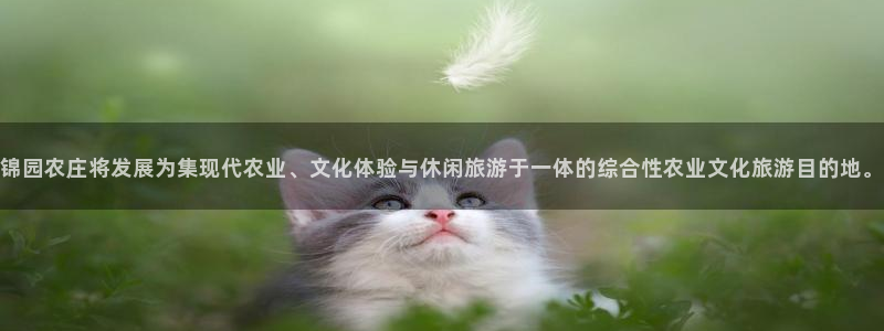 天辰娱乐_675138