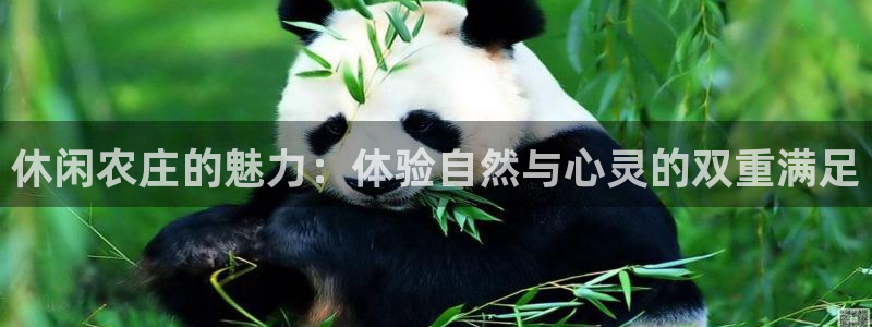 天辰娱乐反水