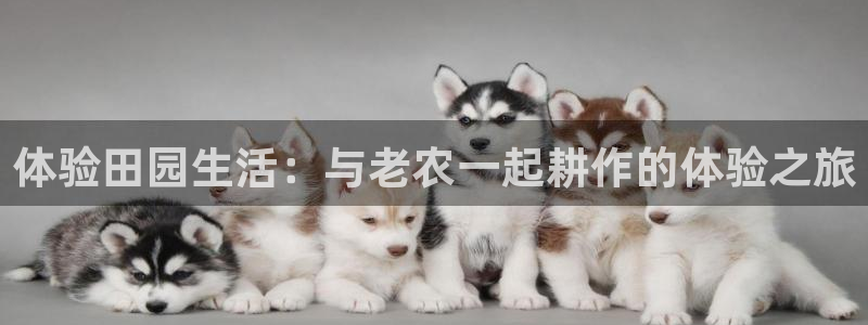 天辰娱乐地址