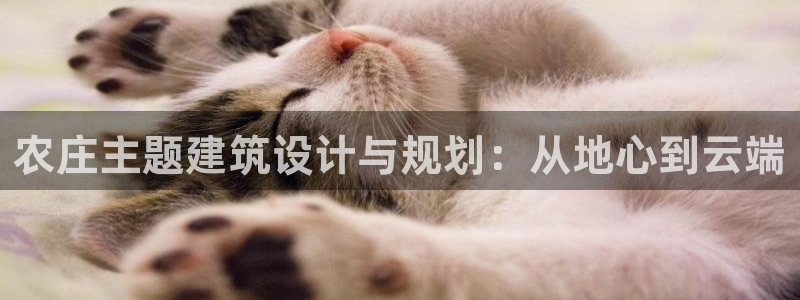 天辰娱乐文案