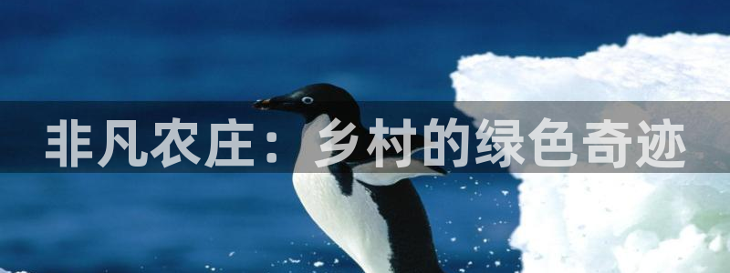 天辰娱乐-q